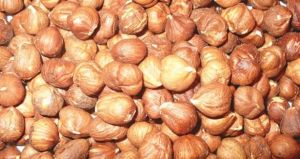 Raw Hazelnut, Certification : ISO 9001, TSE, HACCP