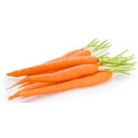 Fresh Carrot