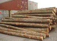 Round Logs