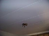 ceiling boards