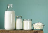 Dairy Ingredients