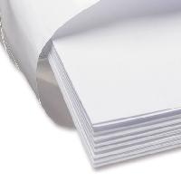 Xerox Paper