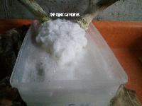 Degreasing chemicals