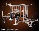 Commercial Multi Gym