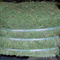 mixed hay