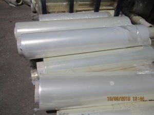 PE & PET Film Rolls