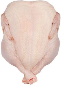 BRAZIL HALAL FROZEN WHOLE CHICKEN- FROZEN CHICKEN PAWS FROZEN PROCESSE