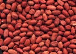 Good Quality Red Skin Peanut Kernels