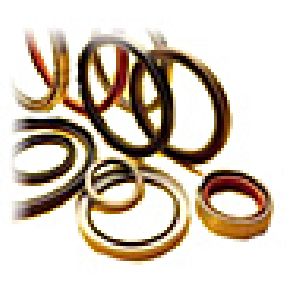 oil seals