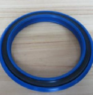 Rod Seals