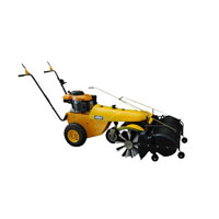 Synthetic Turf Cleaning Machine