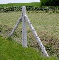 fence posts