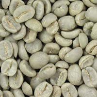 Organic Robusta Coffee Beans