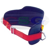FALL PROTECTION BELT