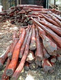 red sander wood