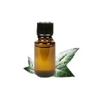 herbal kewra fragrances