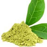 Green Tea Leaf Powder