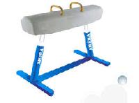 vaulting cum pommel horse