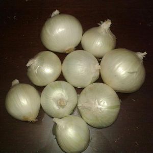 fresh vegetables fresh vegetables