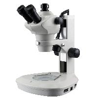 Zoom Stereoscopic Microscope