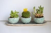 ceramic planter
