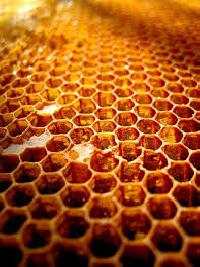 Honeycomb