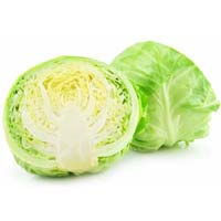 Fresh Cabbage