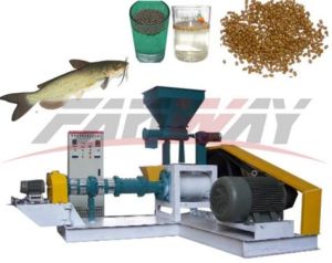 Dry Type Fish Feed Extruder FY-DGP50