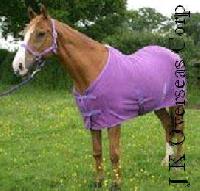 Horse Show Rugs - Fr-2003073