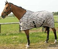 Horse Blankets : SB - 2003058