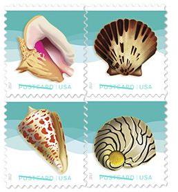 Seashells Postcard Stamp