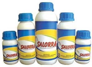 Salorra