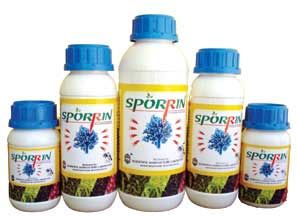 Sporrin