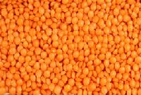 crimson lentils