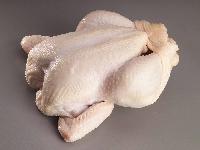 Halal frozen boneles Chicken