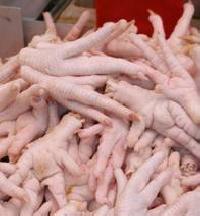 Halal frozen   chicken Paws
