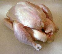 Halal Whole Frozen Chicken