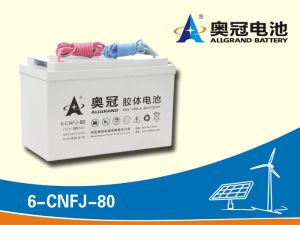 12v 80ah Lithium-oin Battery