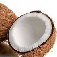 Coconut