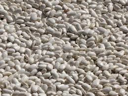 white kidney beans