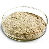 crude papain powder