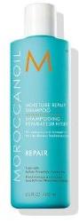 Morocc AnOil Moisture Repair Shampoo 8.5 Oz