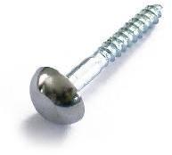 Mirror Screw