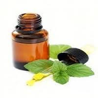 Mentha Citrata Oil