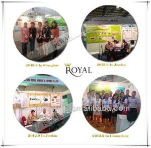 Velpatasvir (GS-5816)