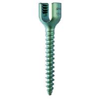 spine pedicle screws