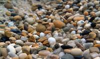aquarium gravel stones