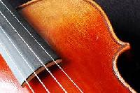 violin fingerboards