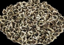 moringa oleifera seeds,  Purity : 99%