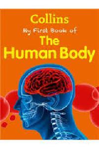 THE HUMAN BODY